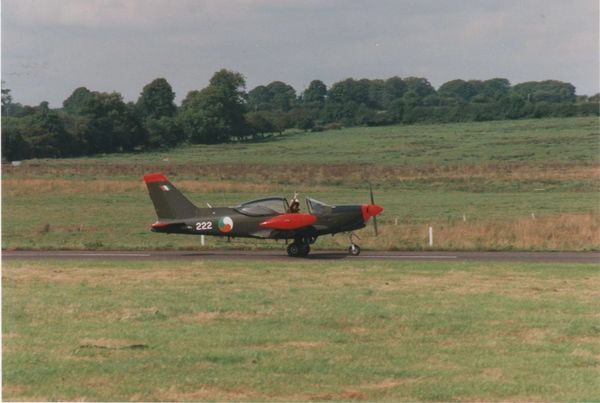 222 Taxiis at the Abbeyshrule Airshow