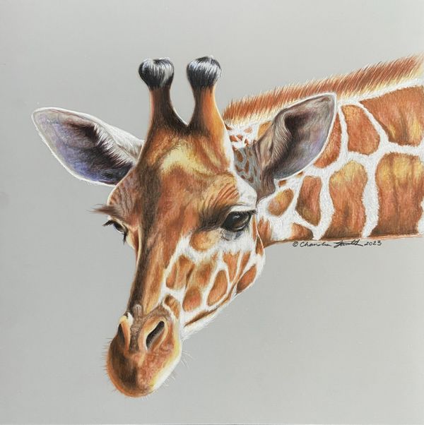 Giraffe art