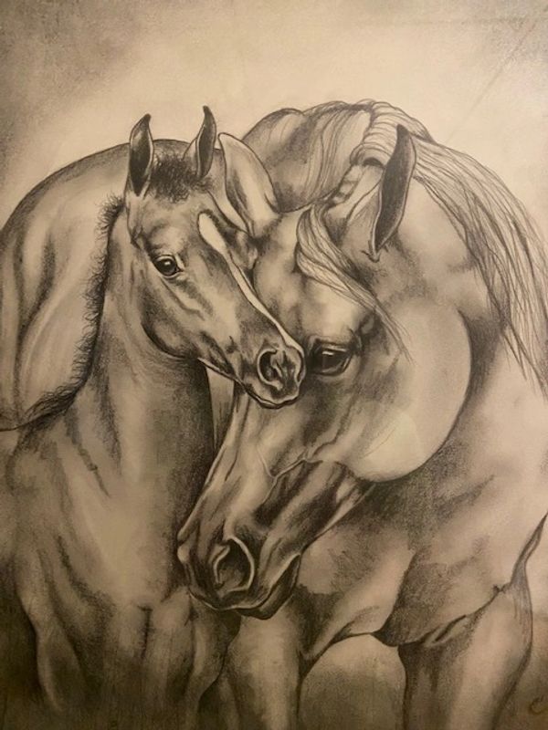 pencil drawing of horses