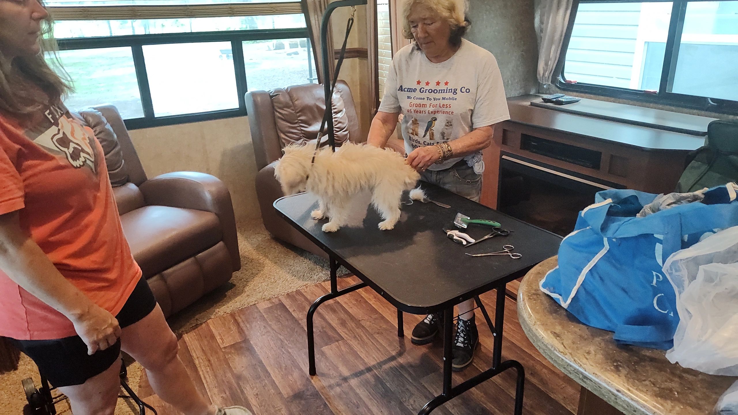 Acme Grooming Co Mobile Grooming Pets