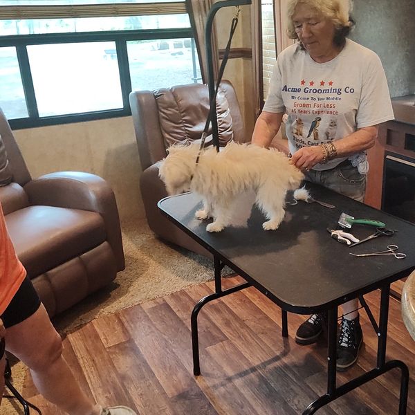 grooming at a customer's house