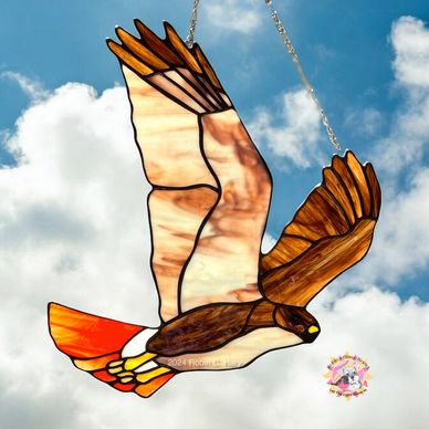 Red Tailed Hawk