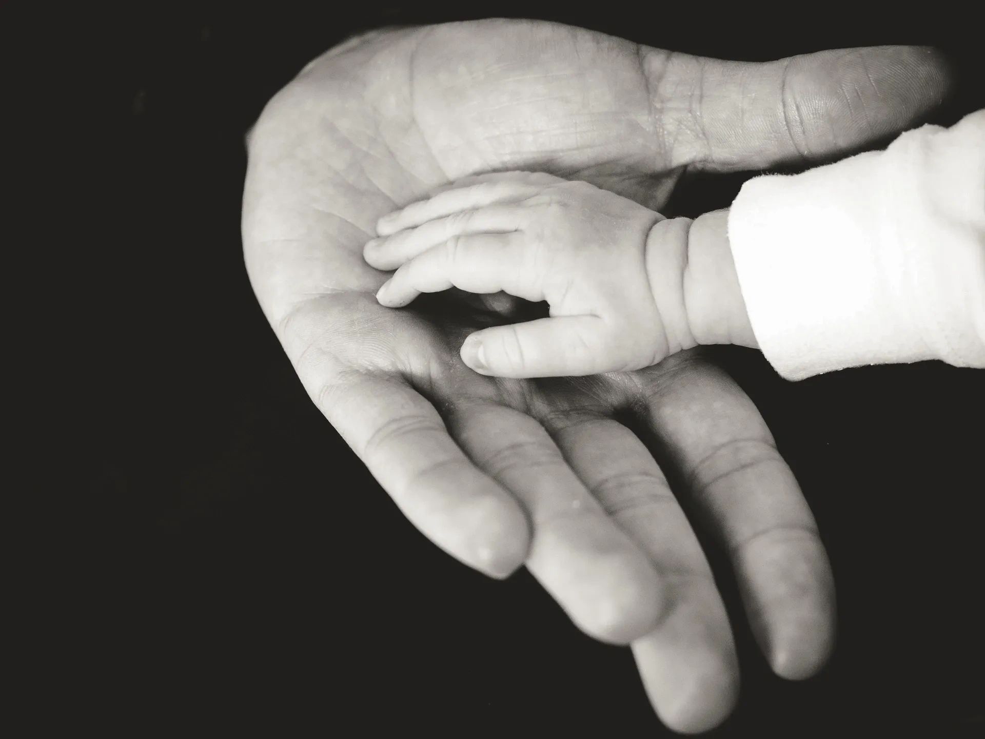 Father & Child holding hands