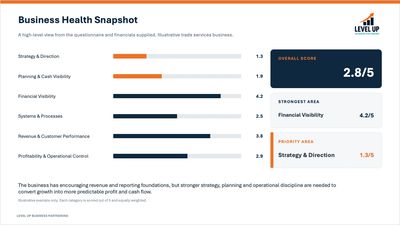 Business Health Check Snapshot
