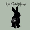 Wild Rabbit Massage
