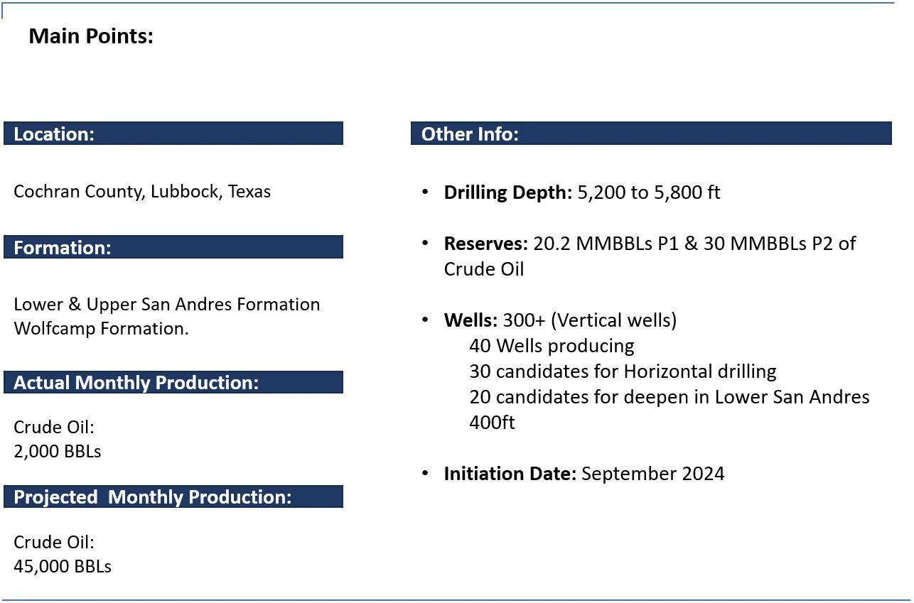 Overview of an oil drilling project in Cochran County, Texas with production and reserve details.