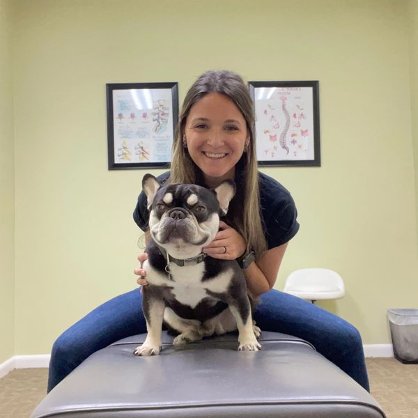 Woman smiling behind a black and white French Bulldog on an examination table.