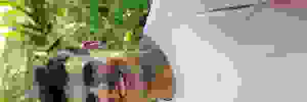 image2019