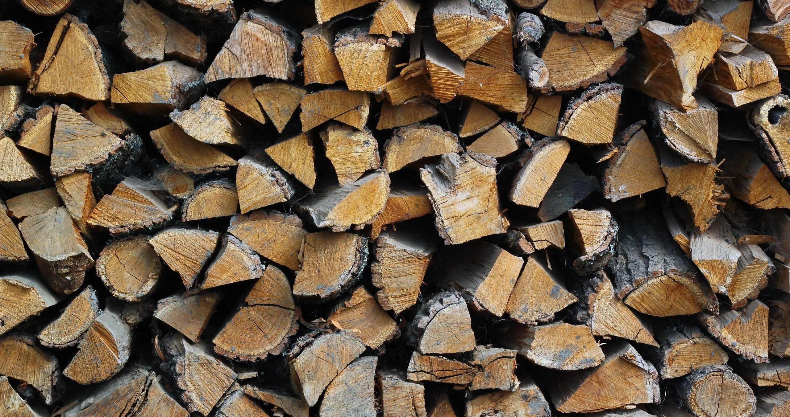 Understanding the Meaning of Seasoned Firewood and Why You Should