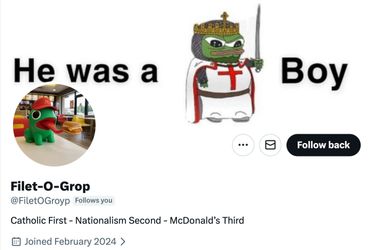 Profile showing Pepe meme as a crusader and McDonald's mascot with nationalist captions.