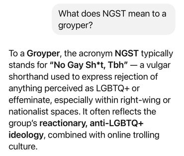 Explanation of NGST as a vulgar anti-LGBTQ+ acronym used by right-wing group Groypers.