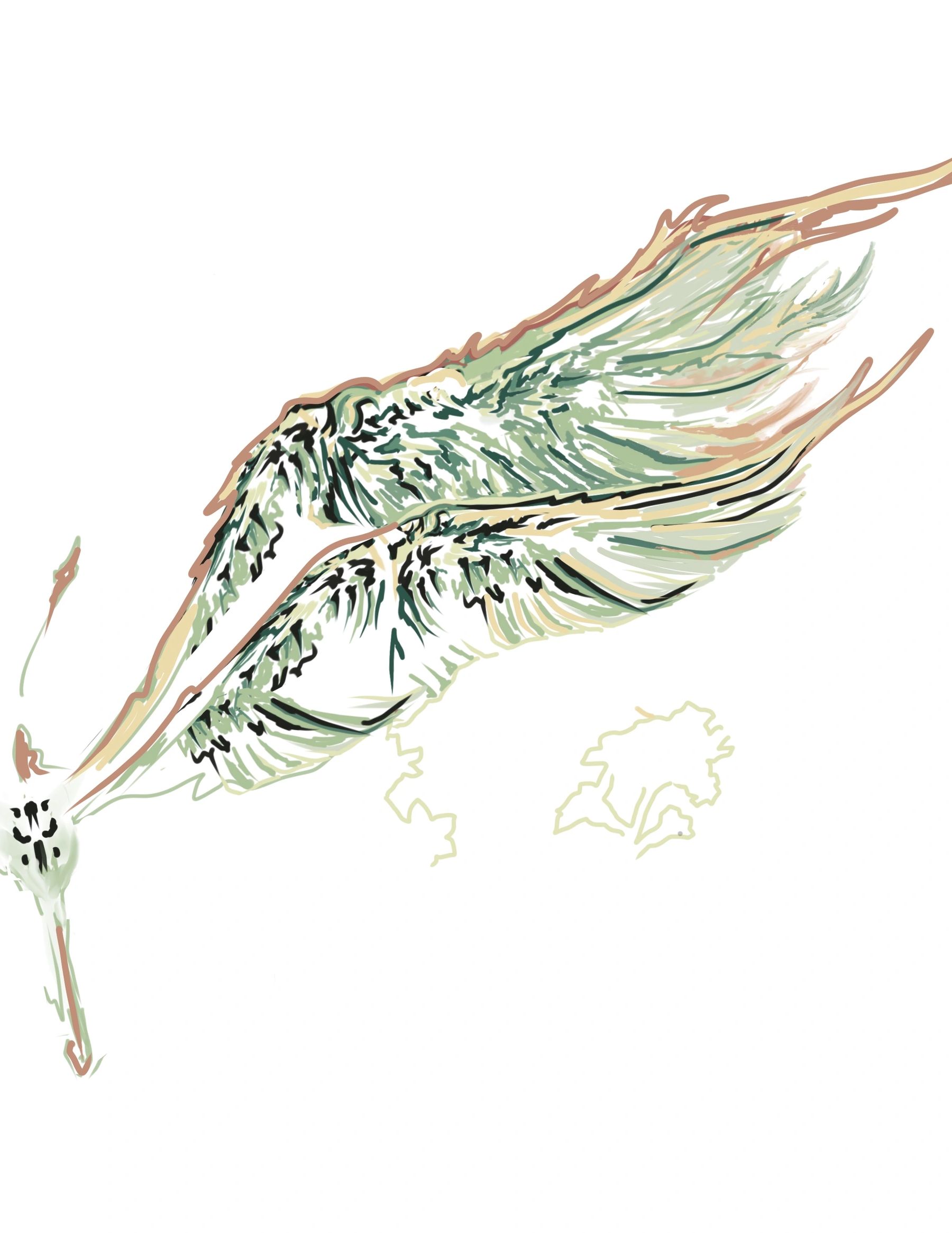 An artistic sketch resembling an insect with soft feather like wings. Natural, earthy feel.