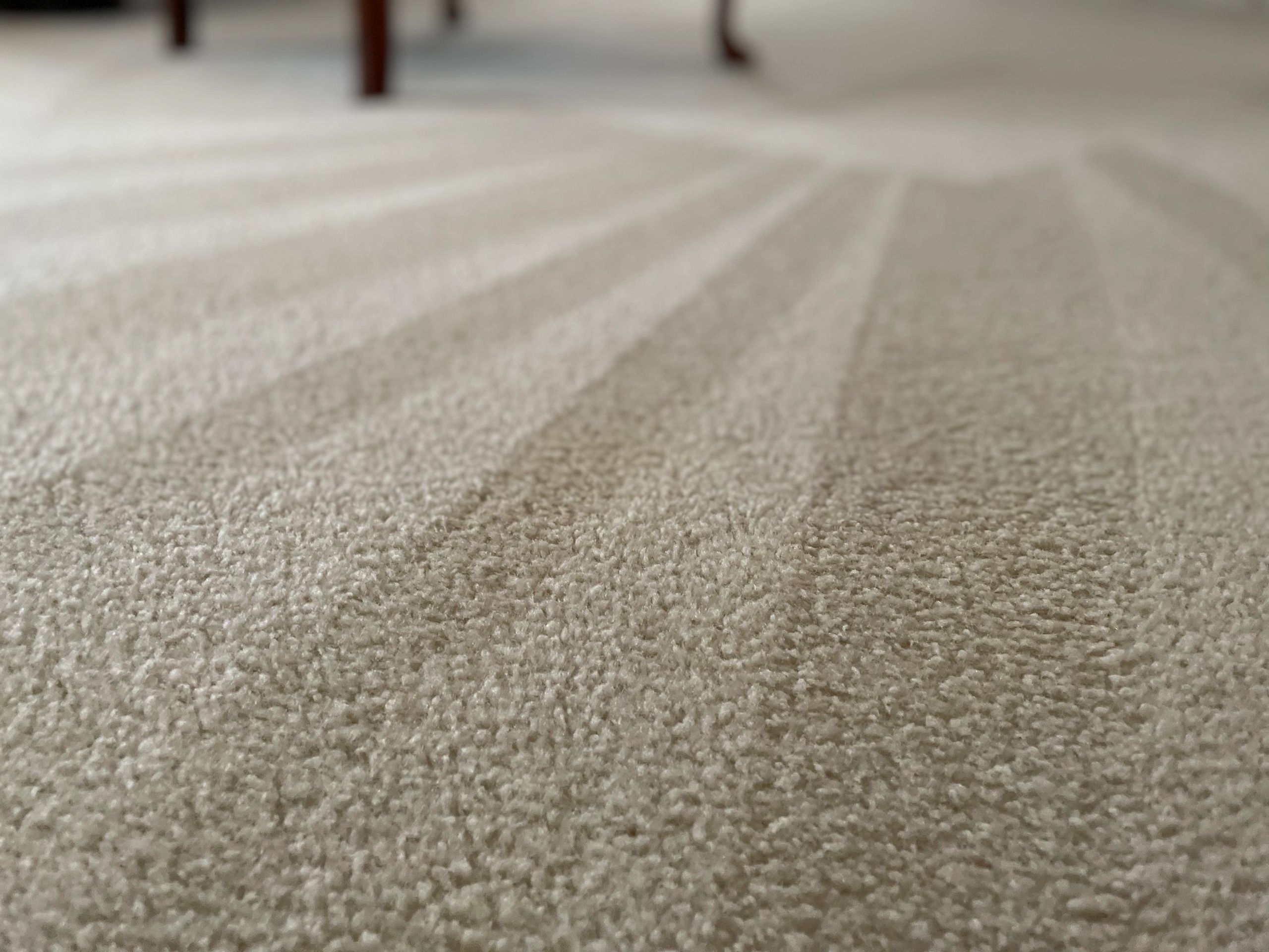 Carpet Cleaning Columbus, Ga Carpet Care