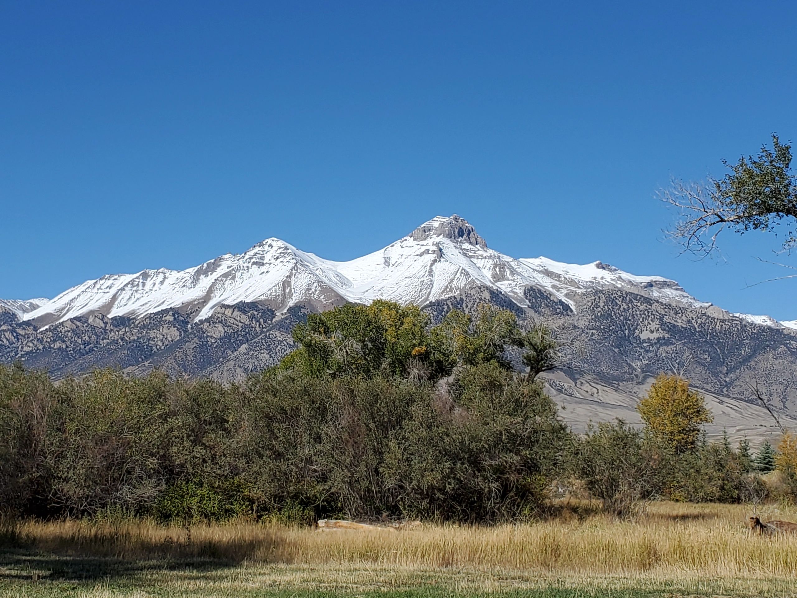 Visit Mackay Idaho Visit, Things to Do, Attractions