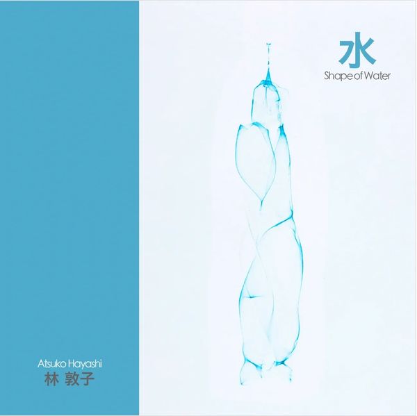 Front cover of Shape of Water