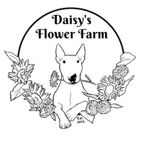 Daisy’s Flower Farm
