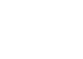 REVEL