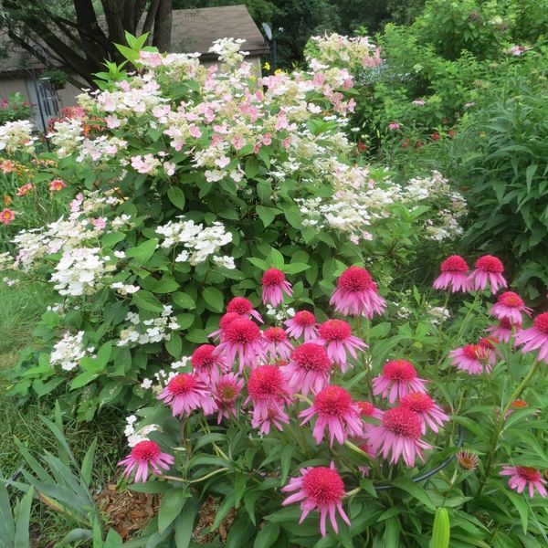 Our many display gardens help you choose plants that are right for you