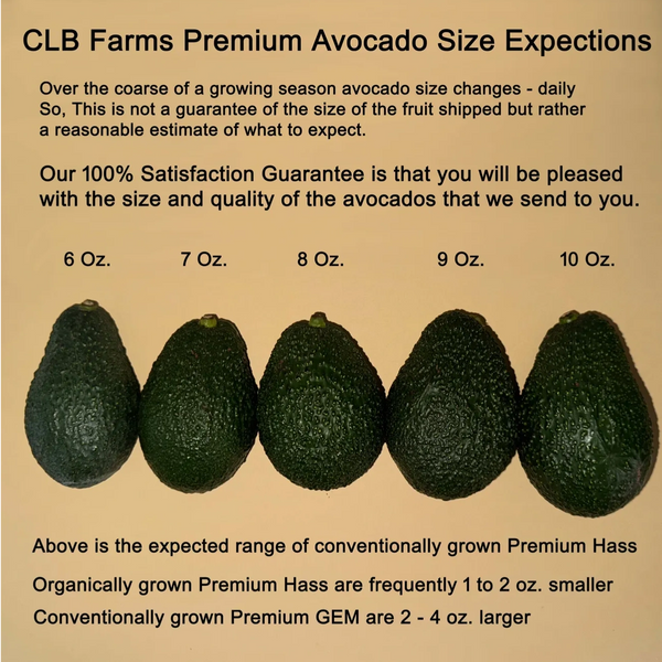 Table of expected avocado sizes