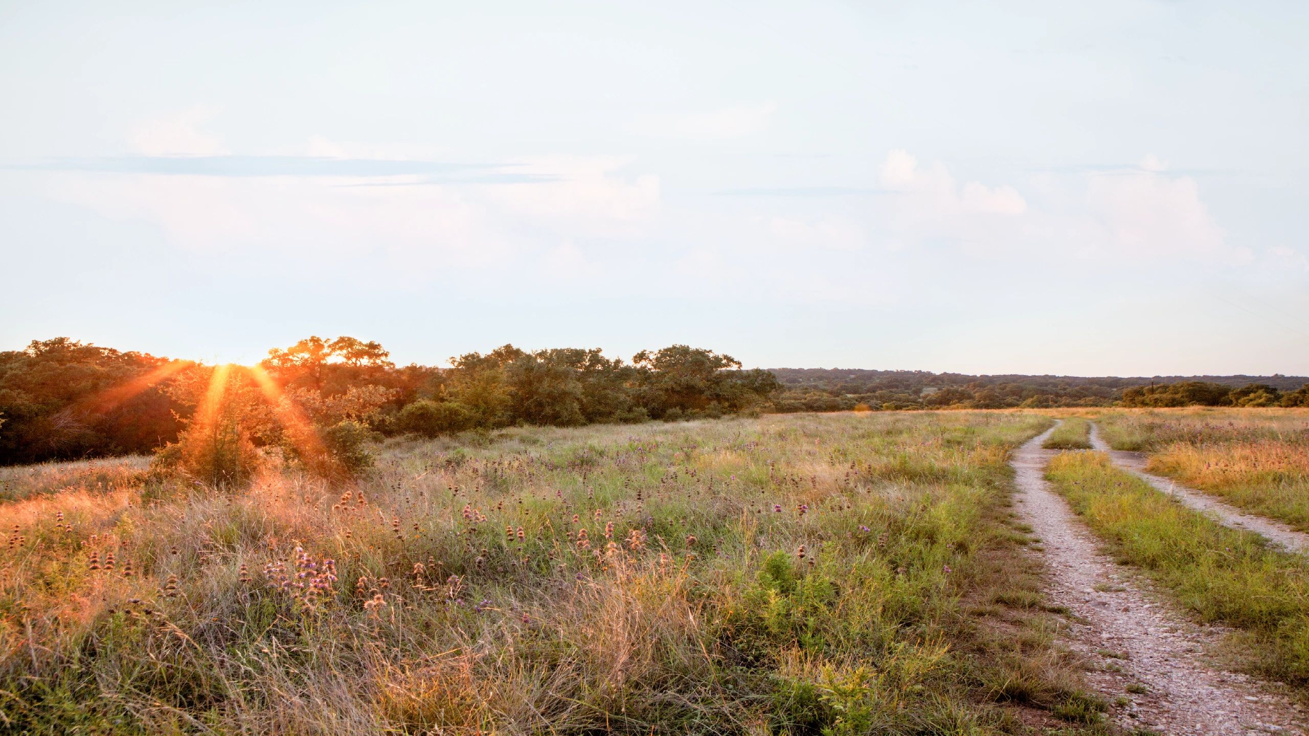 Shell Real Estate Services