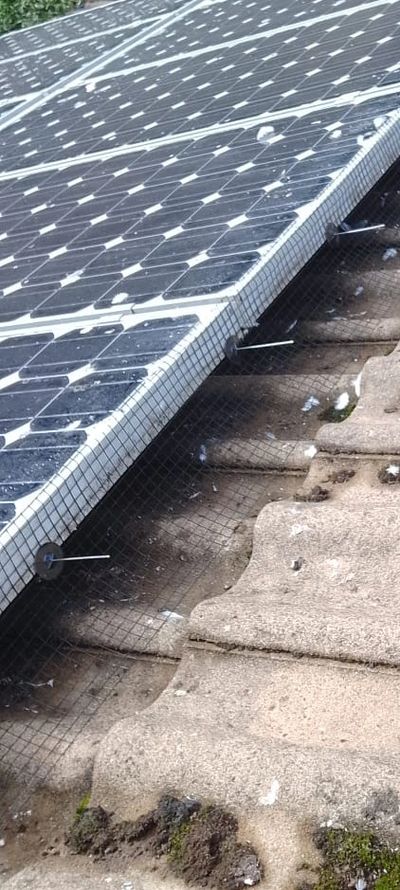 Solar panels installed on a tiled roof with bird-proof netting.