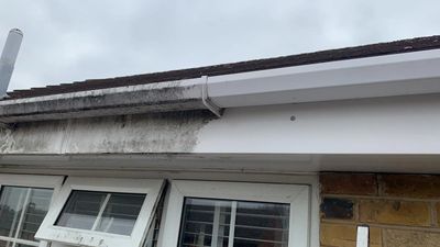 Half-cleaned gutter and fascia on a house roof.