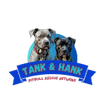 Tank and Hank Pitbull Rescue Network 