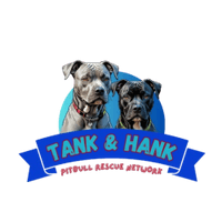 Tank and Hank Pitbull Rescue Network 