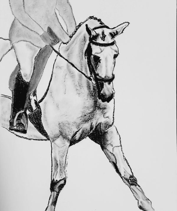 a charcoal sketch of a dressage horse and rider