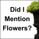 Did I Mention Flowers?