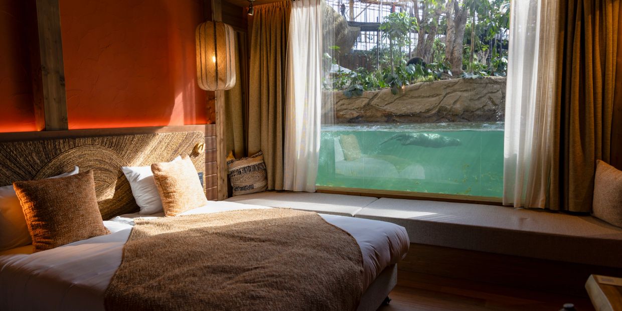 Cozy bed in a room with a large window showing an aquatic enclosure.