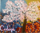 The Coach Codega
