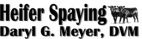 Heifer Spaying - Daryl G Meyer, DVM