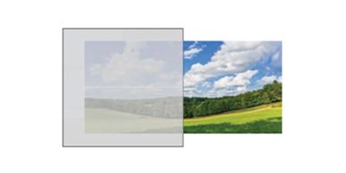 Satin Window Glass