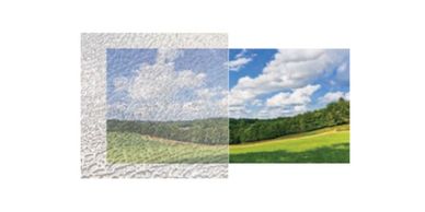 Pattern 62 Window Glass