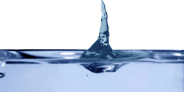 Fitness For Foodies. Org teaches that you are not a machine: you are a body of water.