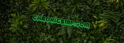 Chronicsmp