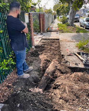 Man inspects a large buried log uncovered during sidewalk excavation.