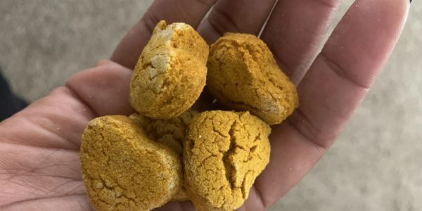 Hand holding four small, golden-brown, cracked nuggets.