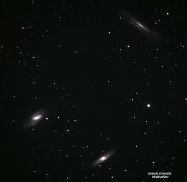 M66