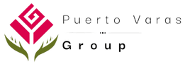 puerto varas group