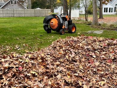 Leaf blowing and fall cleanup