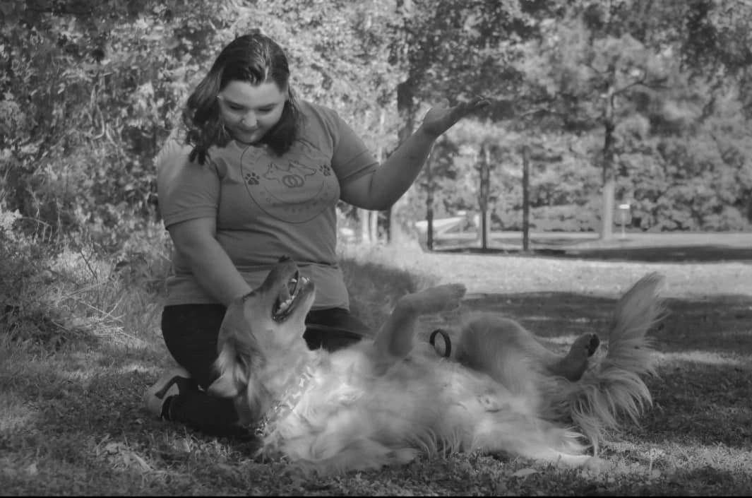 Premium Dog Boarding Services Leashes and Lashes