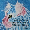 Lise Madson’s Maine Coon & Siberian Kittens