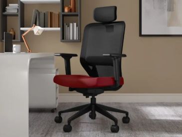 Ergonomic office chair with red seat and black mesh back.