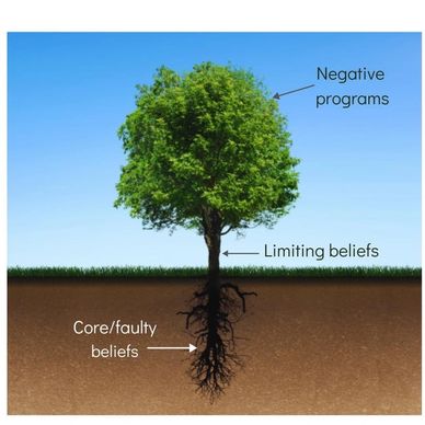 Tree diagram showing relationship between negative programs, limiting beliefs, and core/faulty beliefs.