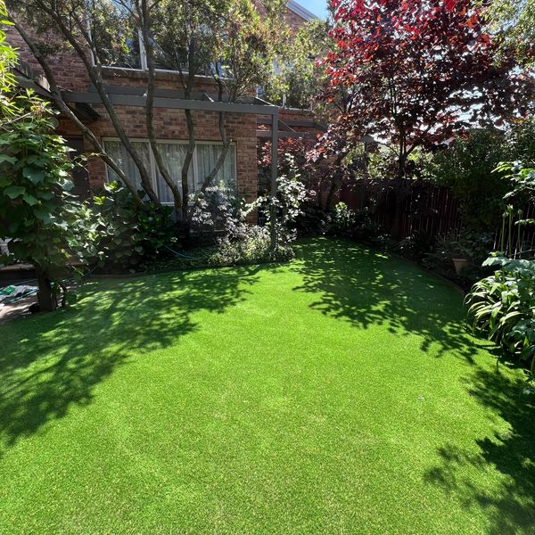 Sunlit garden with lush green grass and surrounding trees.