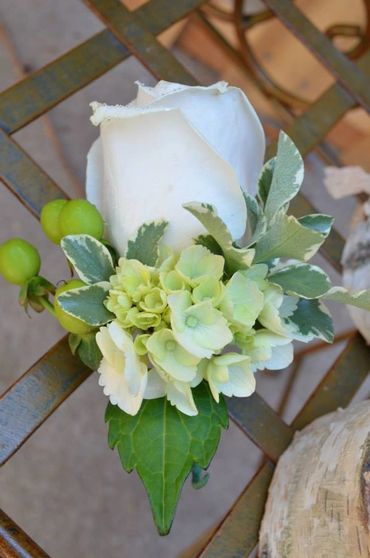 White flowers with leaves