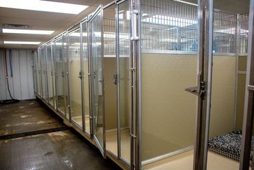 Dog boarding facility