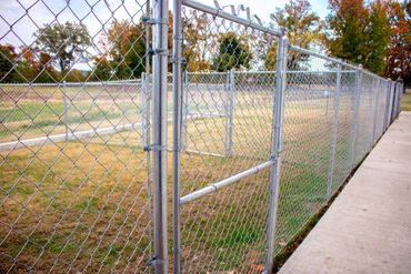 Fenced in dog yard